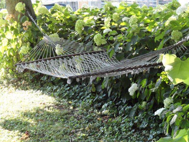 I'm always aiming for that hammock.