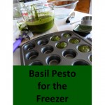 Freezer Pesto -- step-by-step