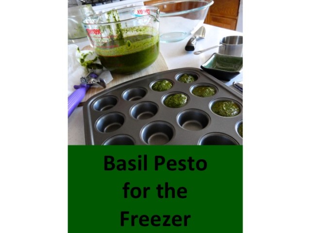 Freezer Pesto -- step-by-step @ inmykitcheninmylife.com